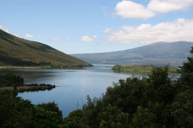 Nieuw-Zeeland 2011 - 0815